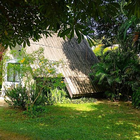 Cashewnut Tree Resort Ko Lanta Zewnętrze zdjęcie